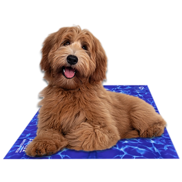 Gel Cooling Mat