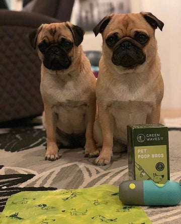 Earth-Friendly Poop Bags Bundle