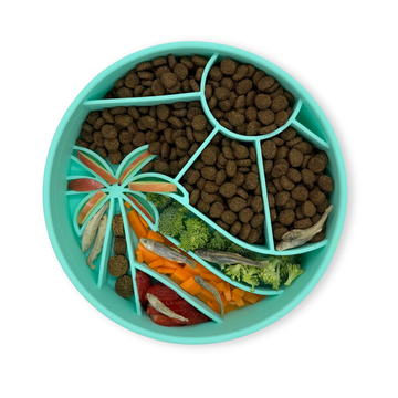 Interactive Slow Feeder Bowl
