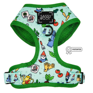 Pet Two Piece Bundle